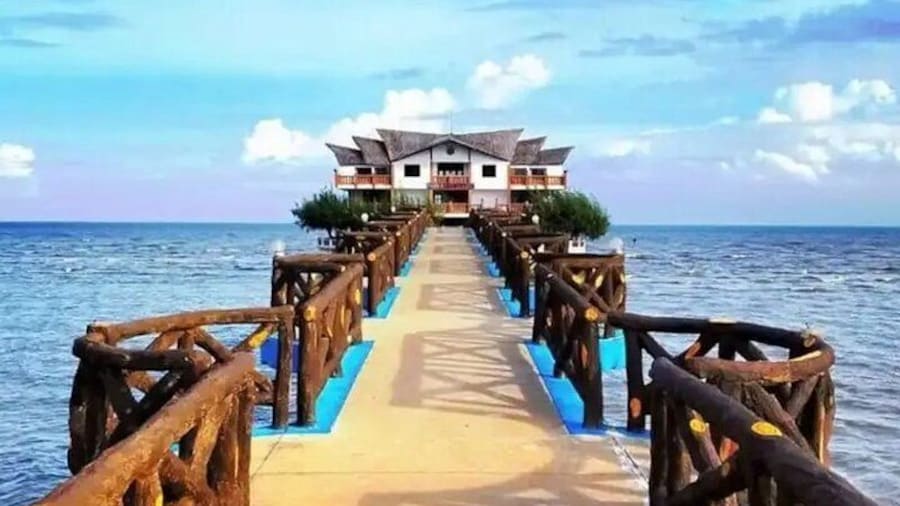 Can Gio Island Tour a Day of Nature, History and Adventure
