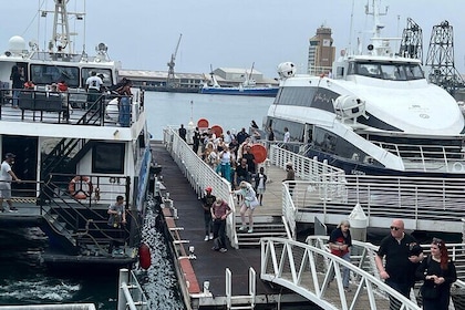 Private Charter Boat to Robben Island with Guided Tour