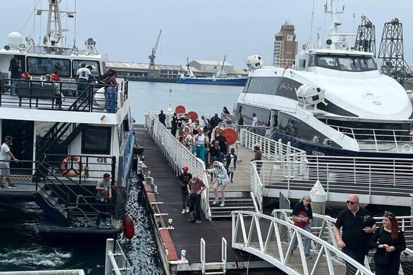 Private Charter Boat to Robben Island with Guided Tour