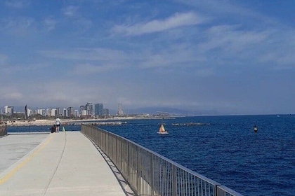 Private Customisable Tour with your Local Friend in Barcelona
