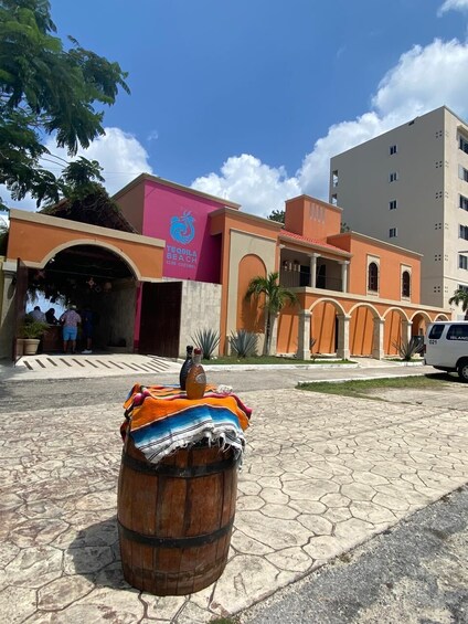 Cozumel Exclusive Beach Club: All-Inclusive Access