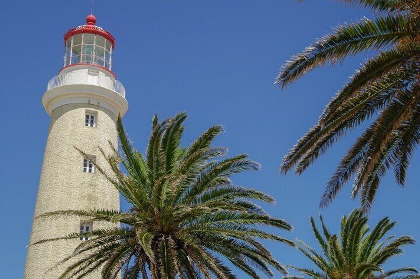 Museo Ralli Private Guided Tour in Punta del Este 