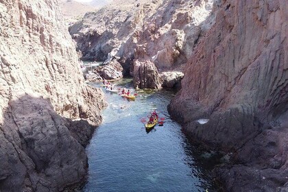 Cape Cat Kayak and Snorkel on the Mermaid Reef
