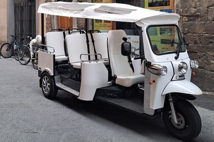Florence panoramic tour with golf cart