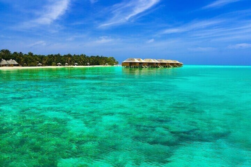Half-Day Fun Adventure Private Tour in Male