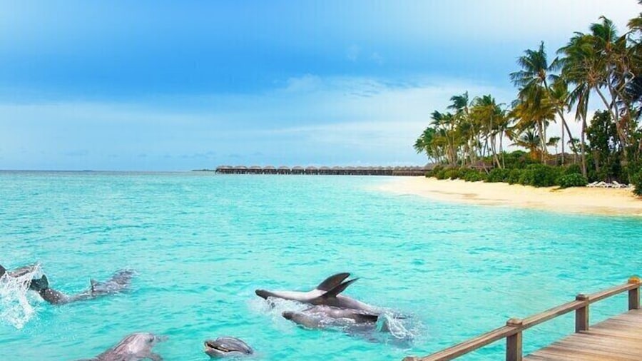 Half-Day Fun Adventure Private Tour in Male