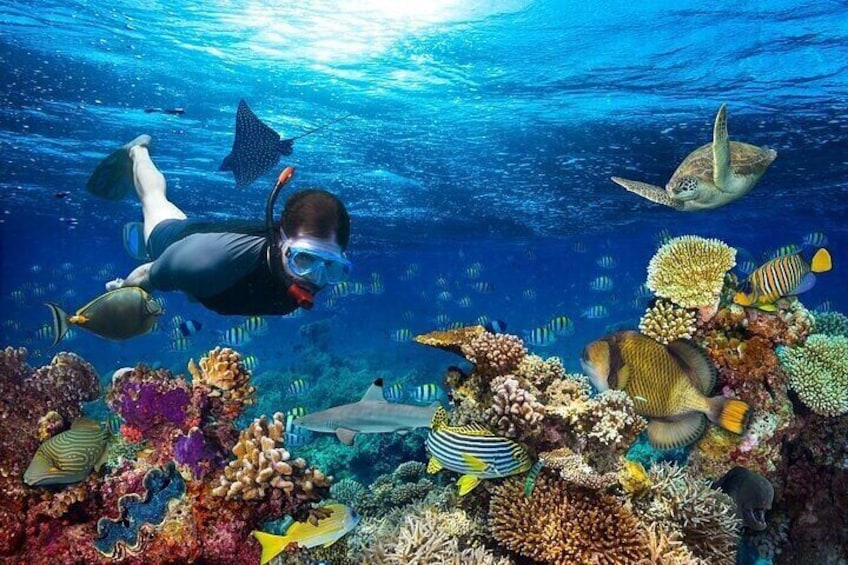 Half-Day Fun Adventure Private Tour in Male