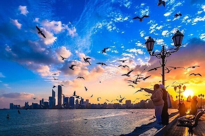 Abu Dhabi Full Day City Tour with English Speaking Guide