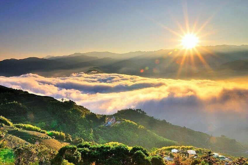 Alishan 2Day Shared Tour from Taipei