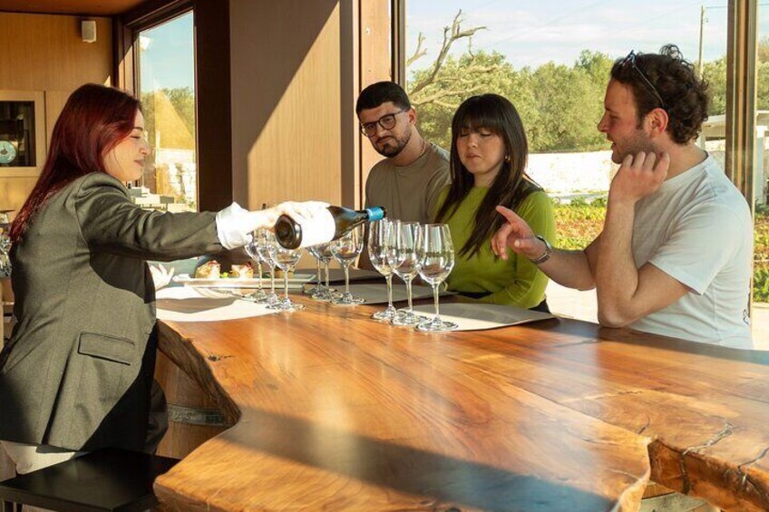 Winery Tour and Tasting, Discover the Organic Wines of Ostuni