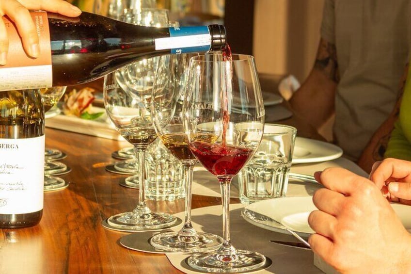 Winery Tour and Tasting, Discover the Organic Wines of Ostuni