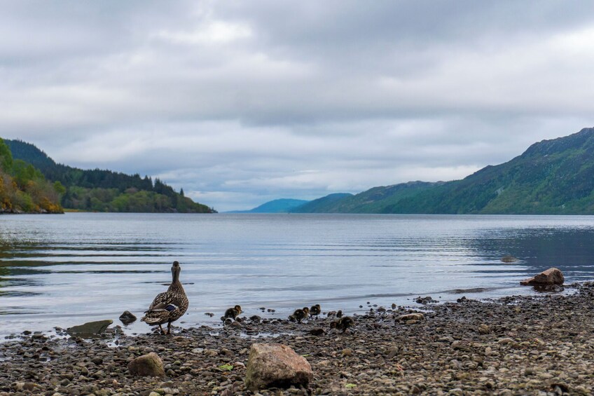 From Glasgow: Small-Group Scottish Highlands & Loch Ness day tour