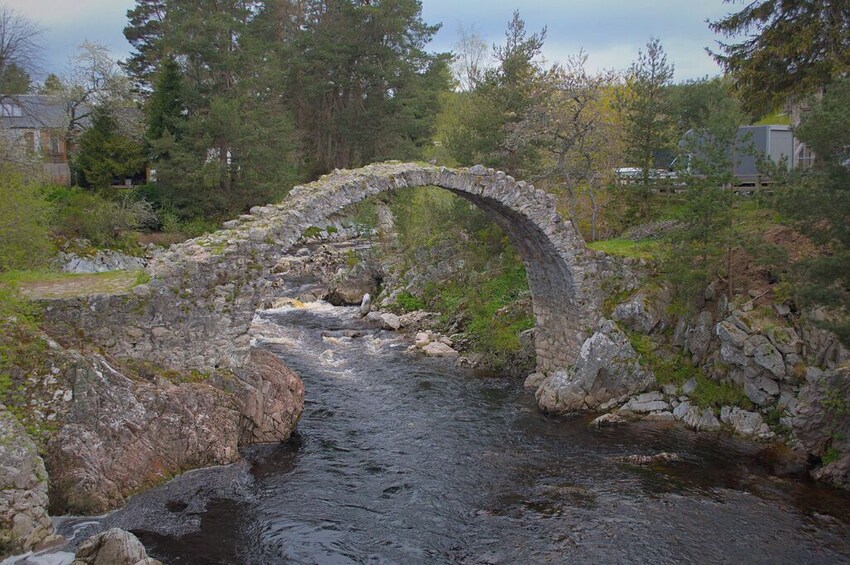 From Inverness: Moray Coast, Wildlife & Whisky