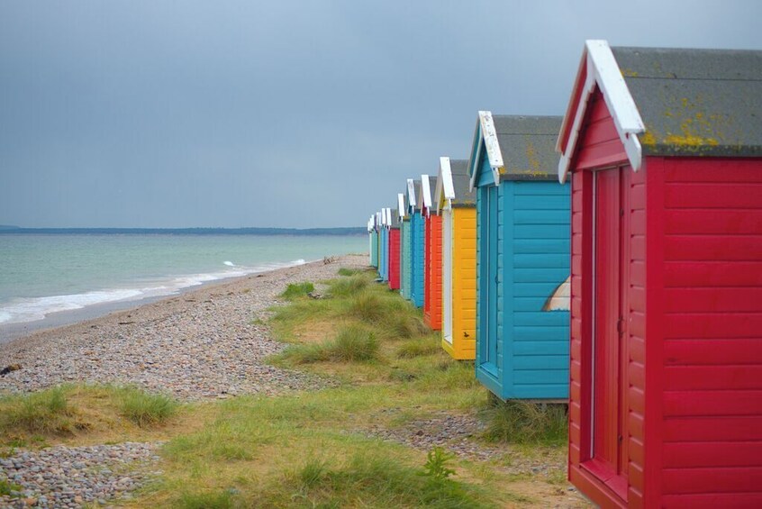 From Inverness: Moray Coast, Wildlife & Whisky