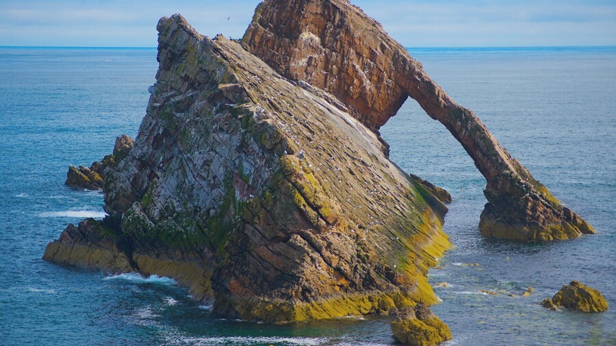 From Inverness: Moray Coast, Wildlife & Whisky