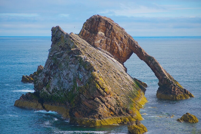 From Inverness: Moray Coast, Wildlife & Whisky