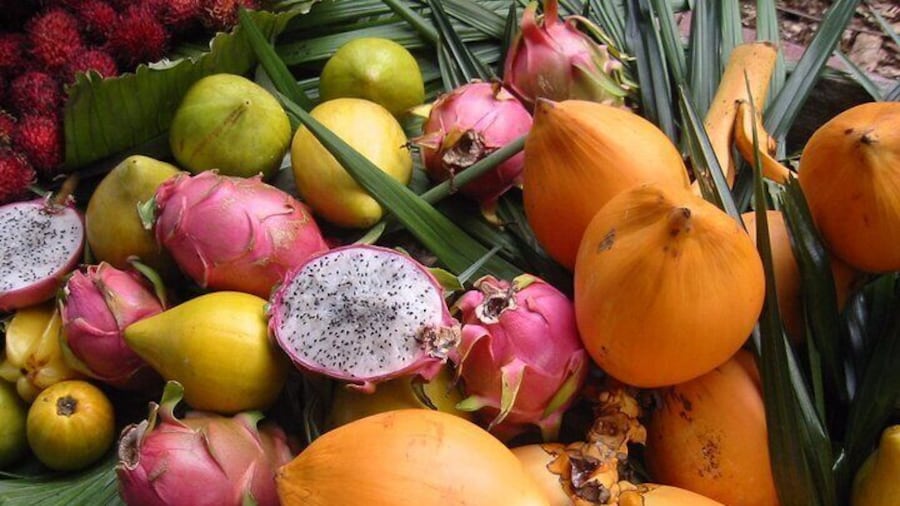Brazil Tropical Fruit Tour