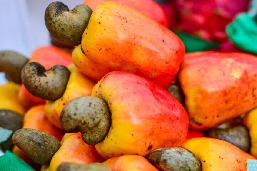 Brazil Tropical Fruit Tour