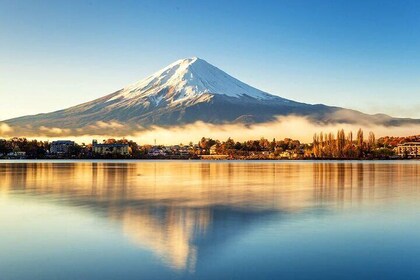Mount Fuji celebrity Spots & Kawaguchiko four Season Flower Tour
