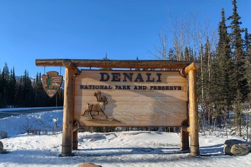 Denali Summer Winter Trial Shuttle with Professional Camera