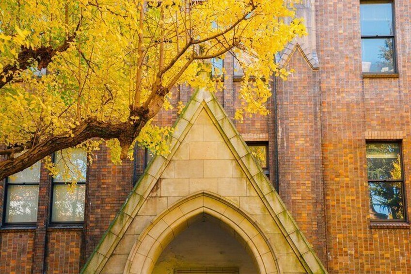 Majestic university buildings with timeless charm.