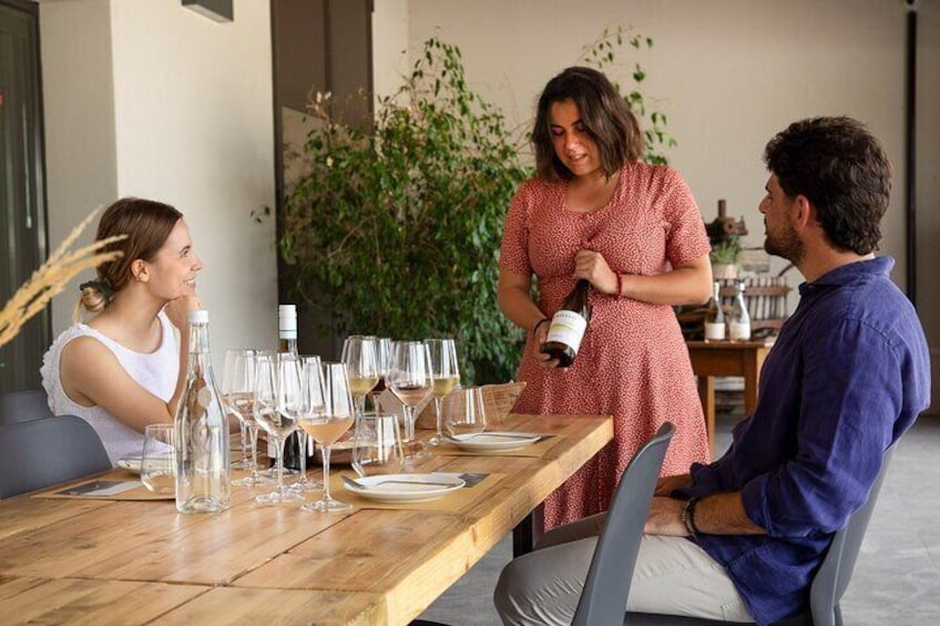 Bardolino Wine Experience