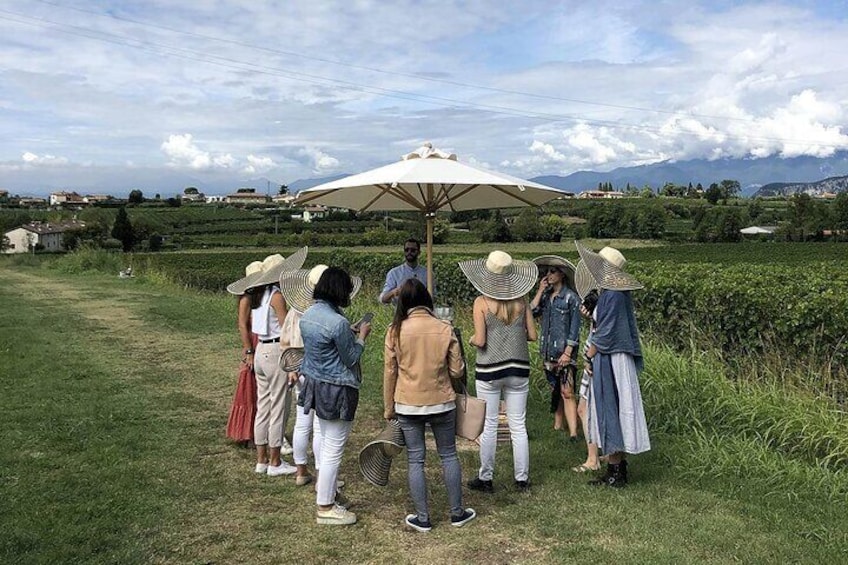 Winery Tour and Tasting of Bardolino Wines