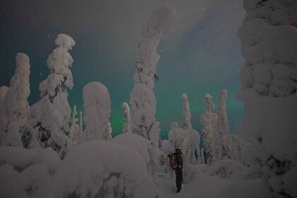 Aurora Borealis Snowshoeing Adventure by Night from Rovaniemi