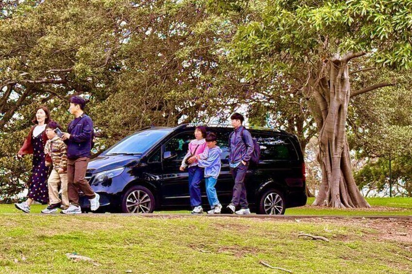 Blue Mountains Sightseeing Day Tours from Sydney