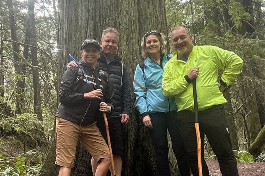 East Sooke Park has big trees!