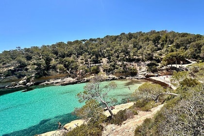 Mallorca Beach Odyssey