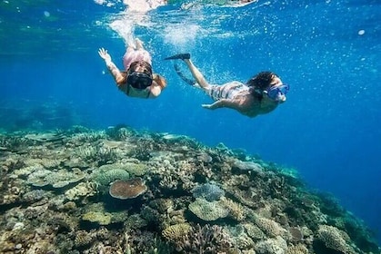 Snorkelen Blue Lagoon en Tanjung Jepun All Inclusive