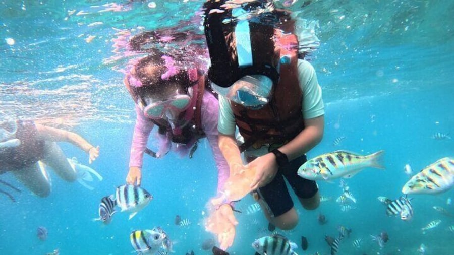 Bali Snorkeling Blue Lagoon and Tanjung Jepun All Inclusive
