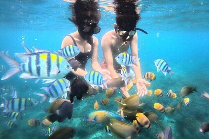 Snorkelen Blue Lagoon en Tanjung Jepun All Inclusive