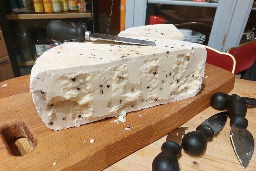 Discover our Terroirs and Tasting Cheese and Wine