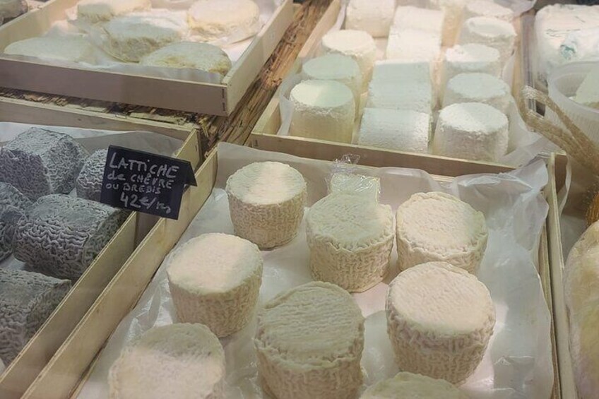 Discover our Terroirs and Tasting Cheese and Wine