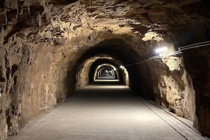 LUGA 2025: The Lower World Exceptional Exhibit at the Aquatunnel