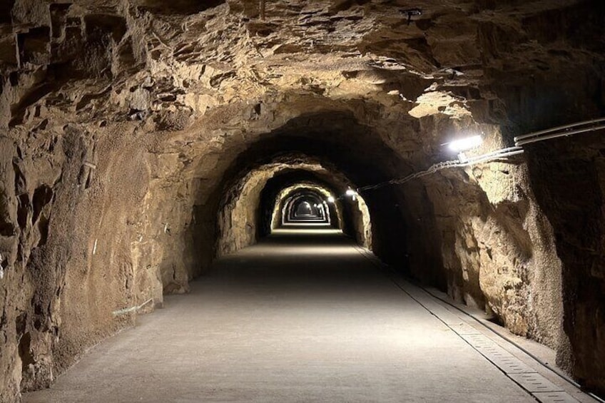 LUGA 2025: The Lower World Exceptional Exhibit at the Aquatunnel