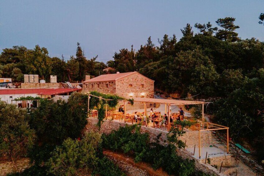 Original Ikarian Wine Tour