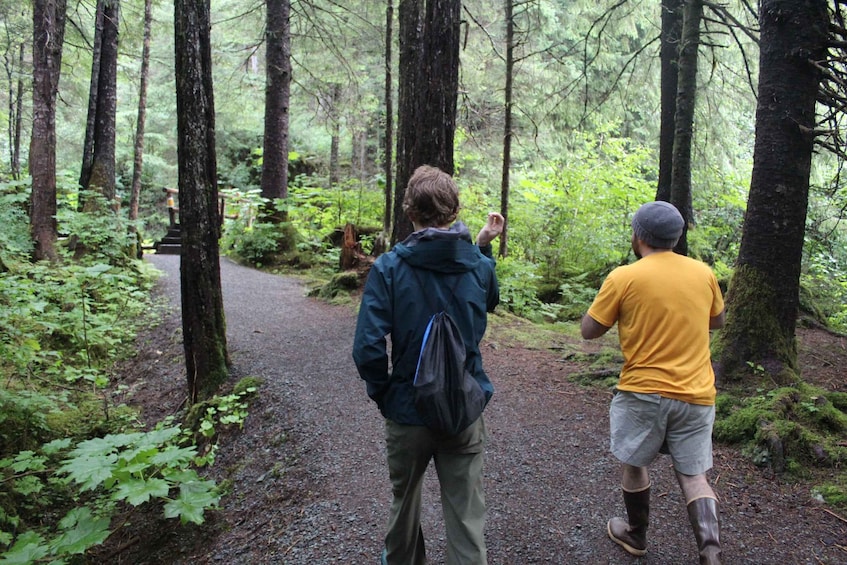 Picture 1 for Activity Sitka: Guided Alaskan Wilderness Trail Adventure Hike