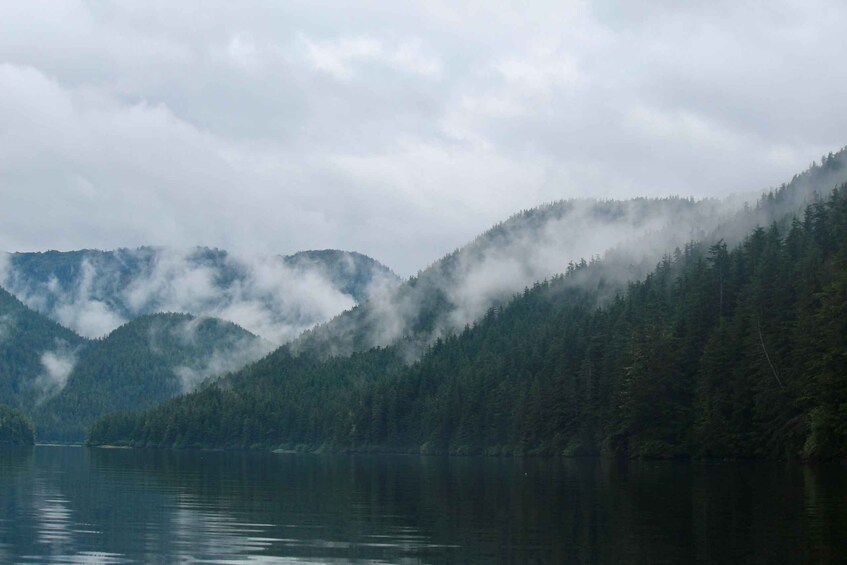 Picture 3 for Activity Sitka: Guided Alaskan Wilderness Trail Adventure Hike