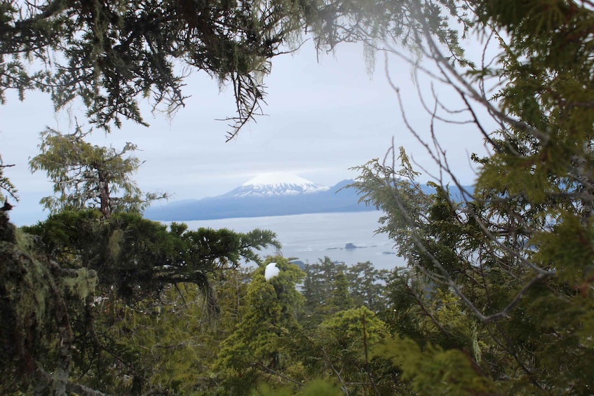 Picture 2 for Activity Sitka: Guided Alaskan Wilderness Trail Adventure Hike