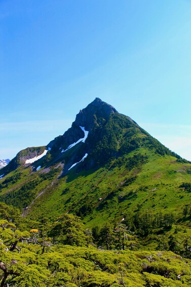 Picture 5 for Activity Sitka: Guided Alaskan Wilderness Trail Adventure Hike