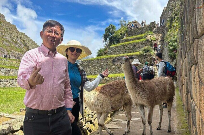 Private Tour Guide in Machu Picchu for 3 Hours