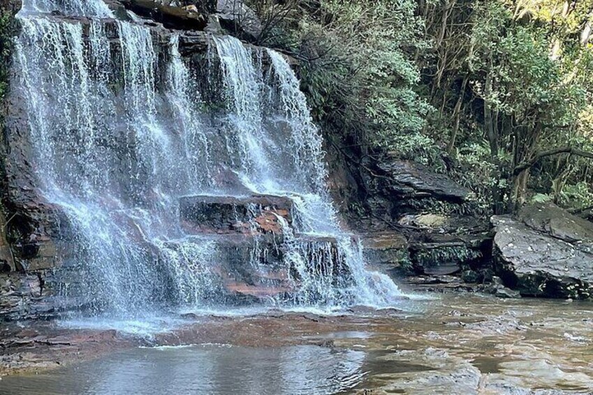 From Sydney Blue Mountains Private Tour with Wildlife Park
