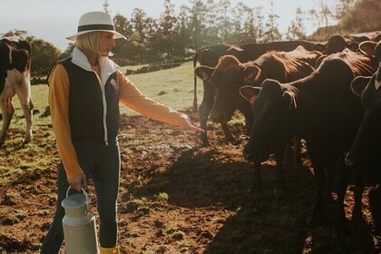 Jeep Safari Granja y Vacas FD Tour