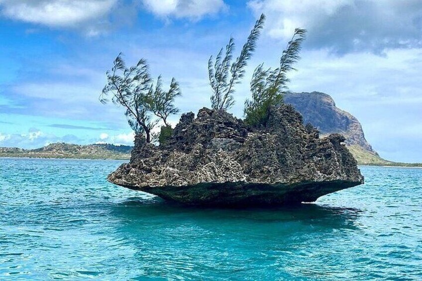 Mauritius Holidays Tour