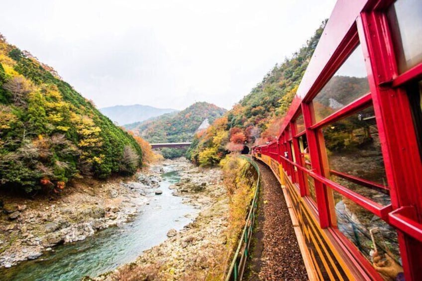 Enjoy the soothing ride filled with the fragrance of the cherry blossoms and gentle spring sunlight seeping through the fresh green leaves.
