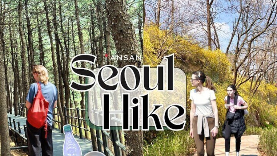 Ansan Jarak-gil Trail and Makgeolli Seoul Hike Experience