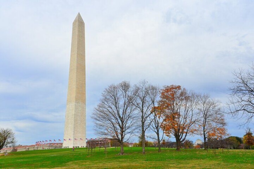 Washington DC Downtown and White House Private Walking Tour